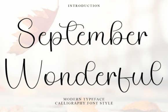 September Wonderful: A Charming Script Handwritten Font